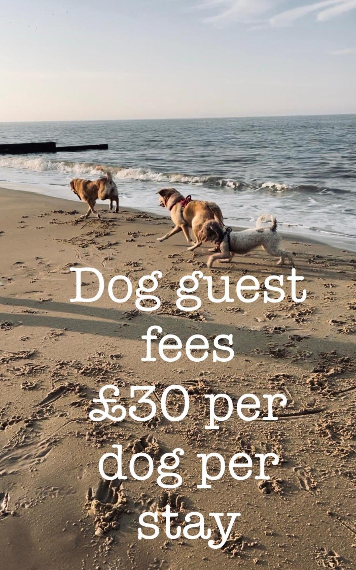 Coastal Terrace Dogs Welcome Optional Hot Tub Villa Sea Palling Exterior foto